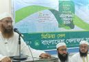 ইসলামপন্থিদের রাজনৈতিক বিজয়ে শক্তিশালী মিডিয়া কাঠামো গড়তে হবে: মামুনুল হক