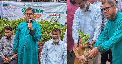 ঢাকা-৪ সংসদীয় এলাকায় জামায়াতে ইসলামীর উদ্যোগে বৃক্ষরোপণ অভিযান